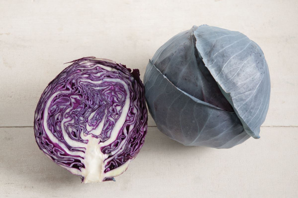 Omero – Cabbage Seed